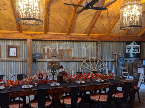 Friday Long Lunch @  Hart Of The Barossa Tasting Shed - Foster Accommodation 0
