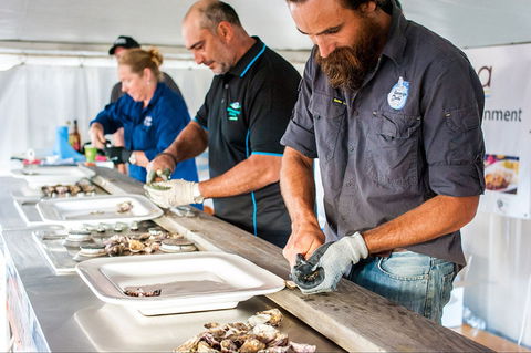 Narooma Oyster Festival - Foster Accommodation 2