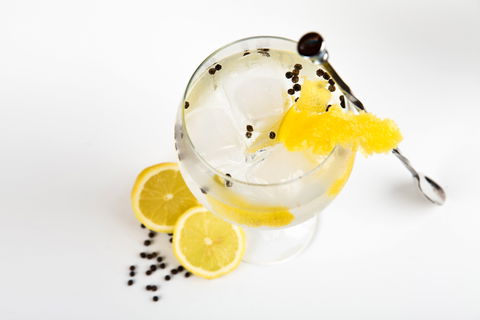 Online Live Streaming Class: Make Four Gin Cocktails - Foster Accommodation 0