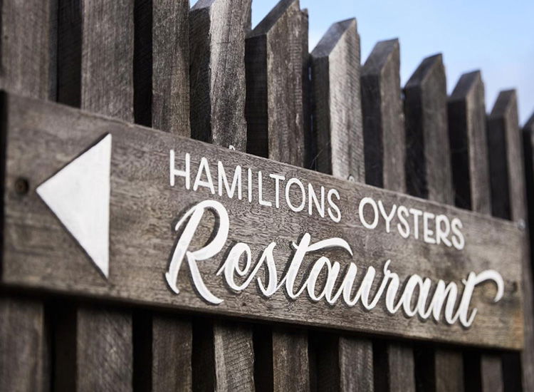 Hamiltons Oysters