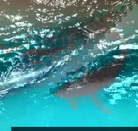 Ningaloo Lodge Exmouth - Foster Accommodation