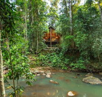 The Canopy Rainforest Treehouses and Wildlife Sanctuary - Foster Accommodation