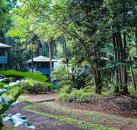 Ferntree Rainforest Lodge - Foster Accommodation
