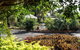 Bundaberg International Motor Inn - thumb 1