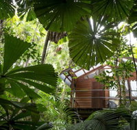 Daintree Wilderness Lodge - Foster Accommodation