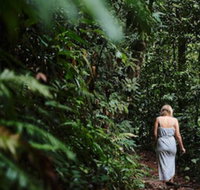 Daintree Ecolodge - Foster Accommodation