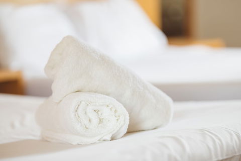 Garden Lodge Sydney - Foster Accommodation 4