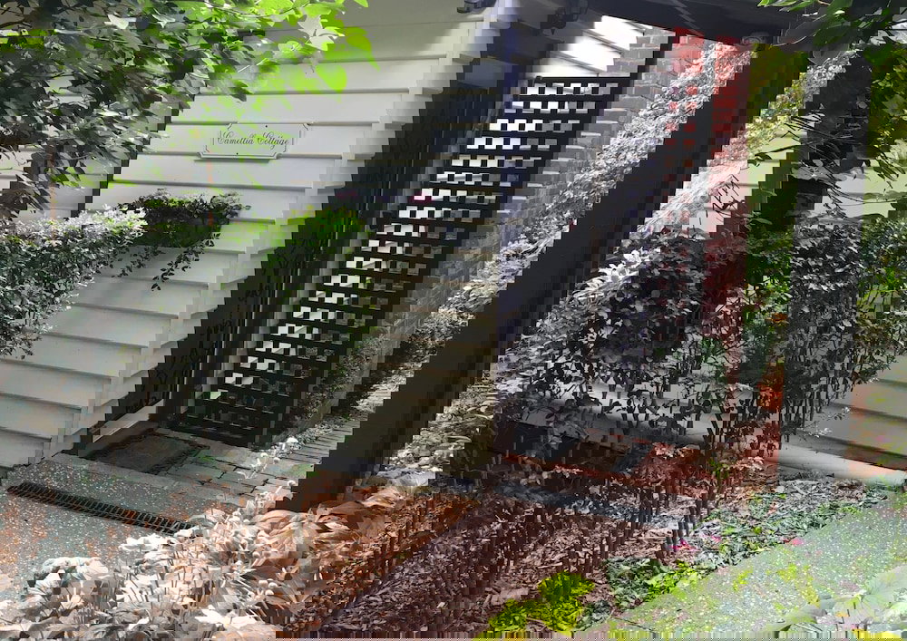 Foster Accommodation