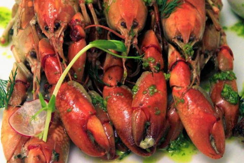 Kooljaman At Cape Leveque - Foster Accommodation 2