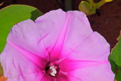 Kooljaman At Cape Leveque - Foster Accommodation 6