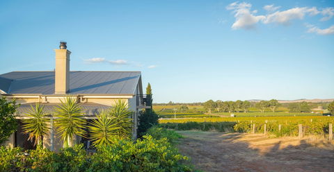 Barossa Shiraz Estate - Foster Accommodation 0