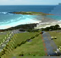 Diamond Island Resort  Bicheno Penguin Show