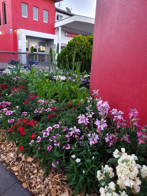 City Golf Club Motel - Foster Accommodation 2