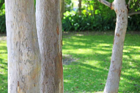 The Retreat Port Stephens - Foster Accommodation 2
