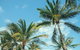 Base Magnetic Island Hostel - thumb 0