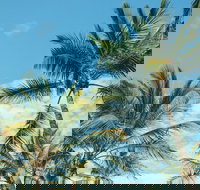 Base Magnetic Island Hostel - Foster Accommodation