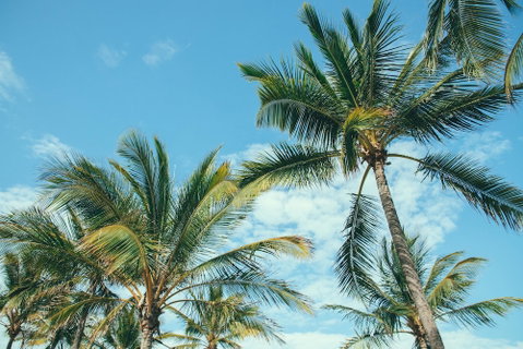 Base Magnetic Island Hostel - Foster Accommodation 0