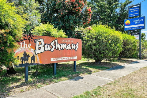 Comfort Inn Coach And Bushmans - Foster Accommodation 4