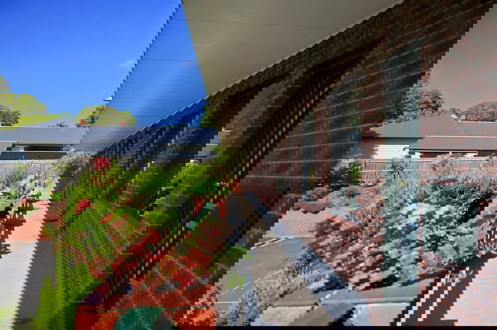  Foster Accommodation