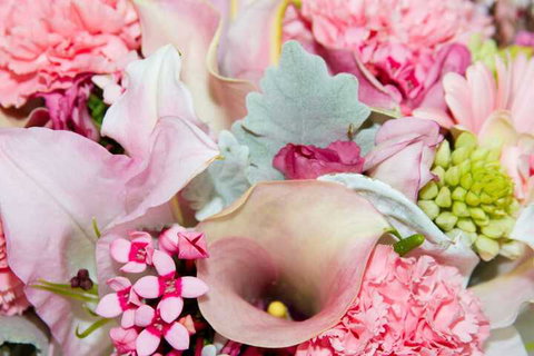 Rydges Horizons Snowy Mountains - Foster Accommodation 5