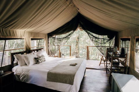 Paperbark Camp - Foster Accommodation 6