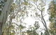 Paperbark Camp - thumb 1