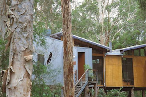 Paperbark Camp - Foster Accommodation 3