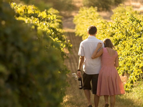 Novotel Barossa Valley Resort - Foster Accommodation 0