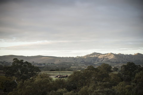 Novotel Barossa Valley Resort - Foster Accommodation 1