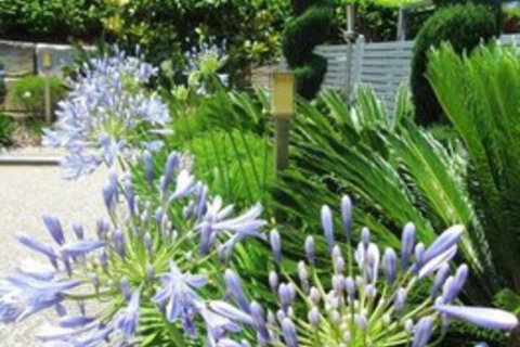 Highfields Motel Toowoomba - Foster Accommodation 5