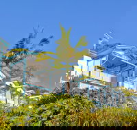 Tangalooma Island Resort - Foster Accommodation