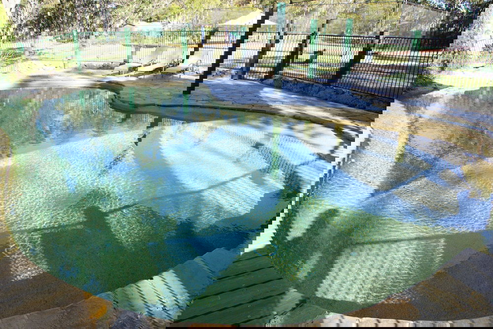  Foster Accommodation