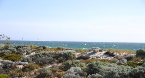 Scarborough & Absolutely Beachfront - Foster Accommodation 4