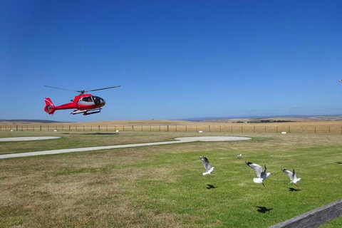 Cobden Crest Cottages - Foster Accommodation 7