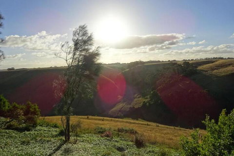 Cobden Crest Cottages - Foster Accommodation 5