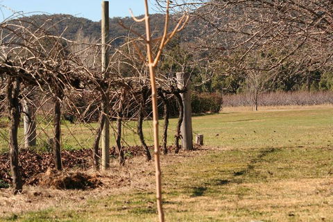 The Farmhouse At Blue Wren Wines - Foster Accommodation 3