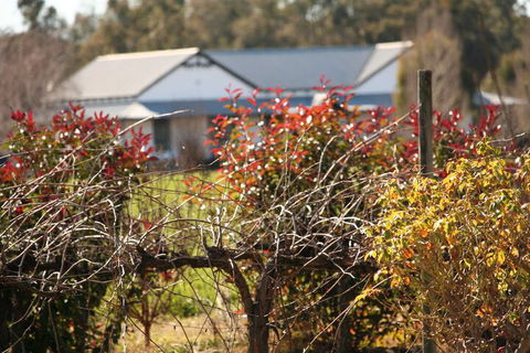 The Farmhouse At Blue Wren Wines - Foster Accommodation 2