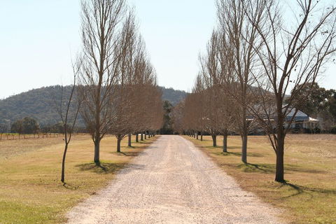 The Farmhouse At Blue Wren Wines - Foster Accommodation 4