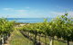 McLaren Vale Backpackers - thumb 6