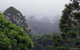 Bunya Mountains Accommodation Centre - thumb 3