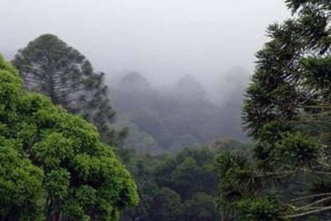 Bunya Mountains Accommodation Centre - Foster Accommodation 3