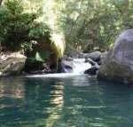Daintree Secrets Rainforest Sanctuary - Foster Accommodation