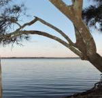 Waterfront Jervis Bay Escape Cooinda - Foster Accommodation