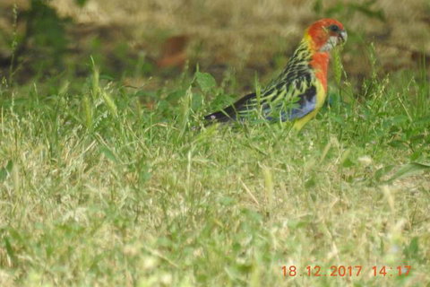 Barklysuites Apartments - Foster Accommodation 5