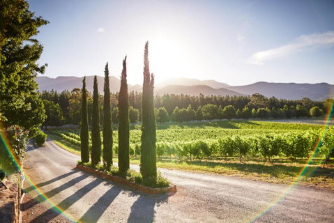 Feathertop Winery - Foster Accommodation 5
