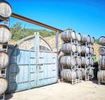 Feathertop Winery - Foster Accommodation