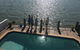 Moreton Bay Beach Lodge - thumb 5