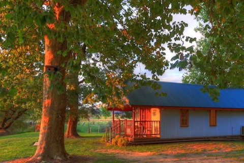 Colac Colac Caravan Park - Foster Accommodation 5