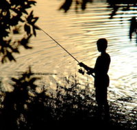 Wooli River Lodges - Foster Accommodation