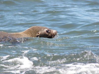 Baudins Accommodation - Foster Accommodation 5